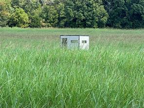TBD County Road 4145 - Photo 7