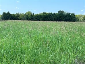 TBD County Road 4145 - Photo 8