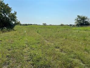 TBD County Road 4145 - Photo 9