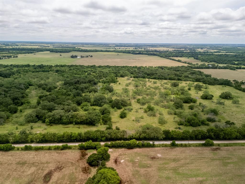 TBD 20 Acres County Road 159 - Photo 10