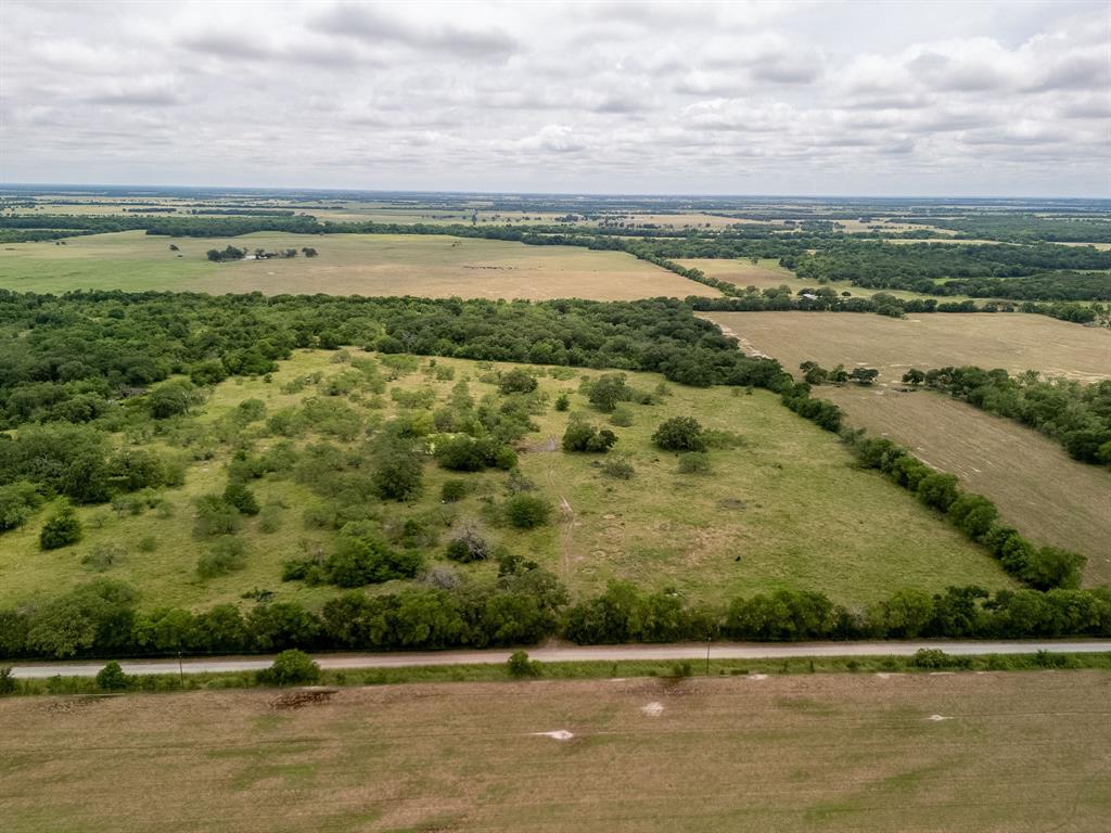 TBD 20 Acres County Road 159 - Photo 11