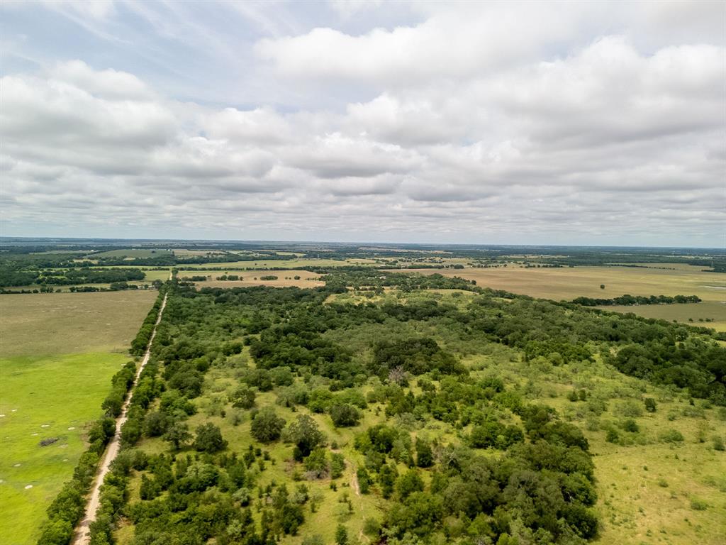 TBD 20 Acres County Road 159 - Photo 16