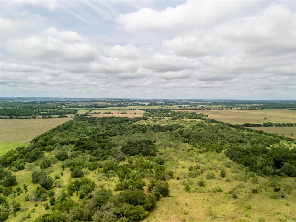 TBD 20 Acres County Road 159 - Photo 17