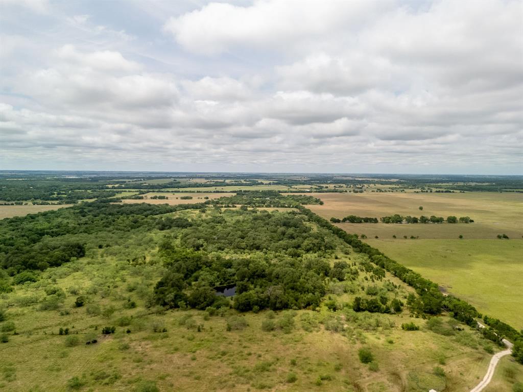 TBD 20 Acres County Road 159 - Photo 18