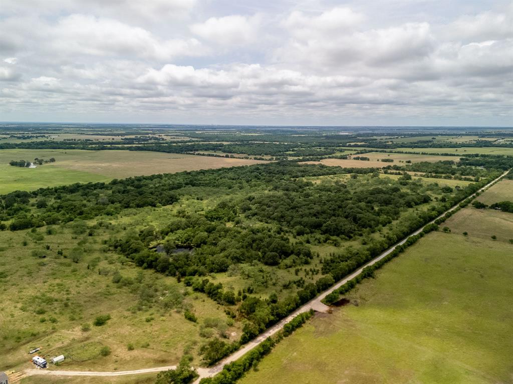 TBD 20 Acres County Road 159 - Photo 19