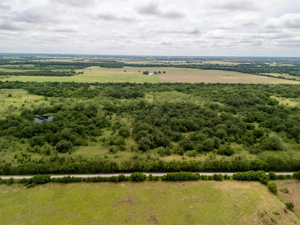 TBD 20 Acres County Road 159 - Photo 21