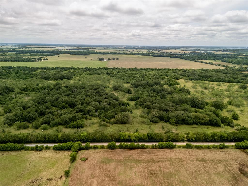 TBD 20 Acres County Road 159 - Photo 22