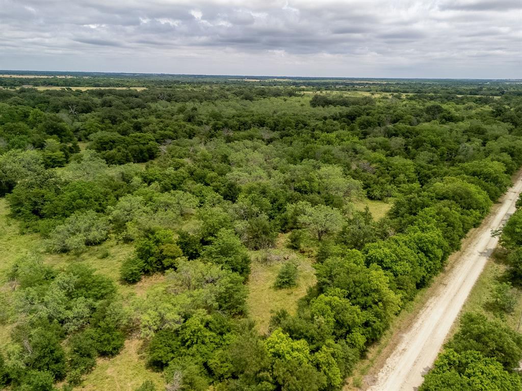 TBD 20 Acres County Road 159 - Photo 27
