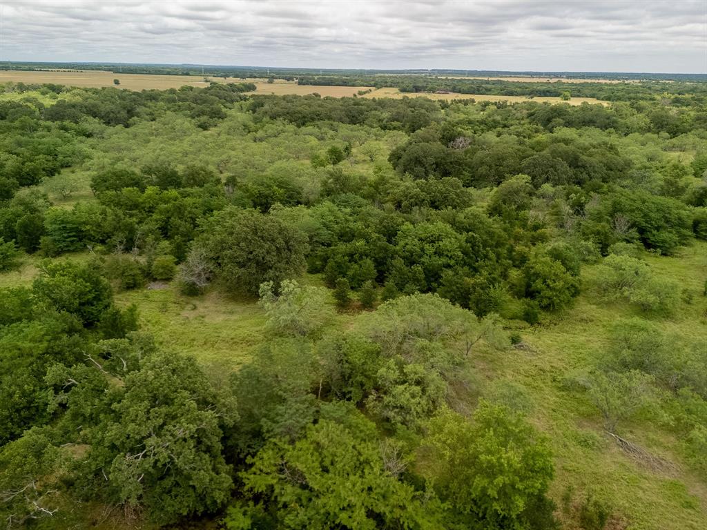 TBD 20 Acres County Road 159 - Photo 28