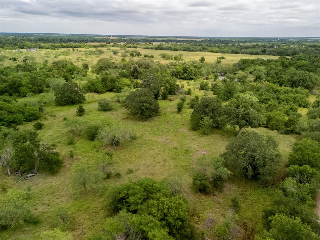 TBD 20 Acres County Road 159 - Photo 29