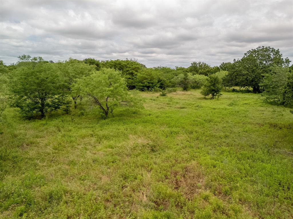 TBD 20 Acres County Road 159 - Photo 31