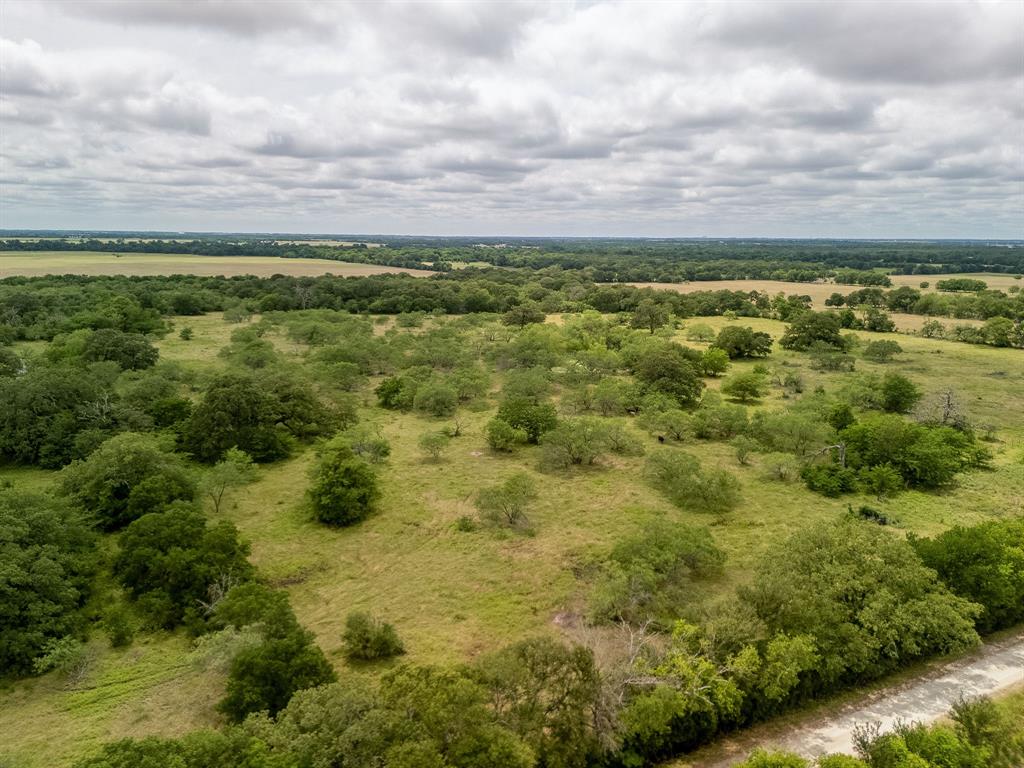TBD 20 Acres County Road 159 - Photo 32