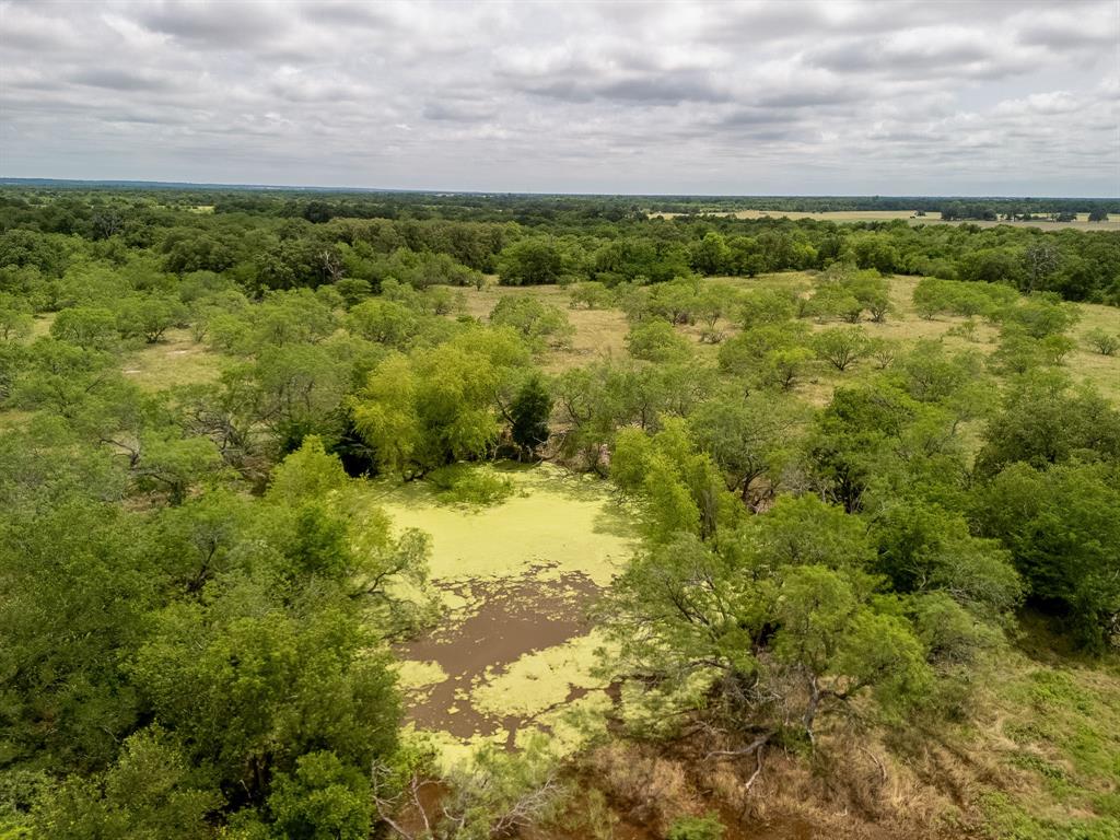 TBD 20 Acres County Road 159 - Photo 34