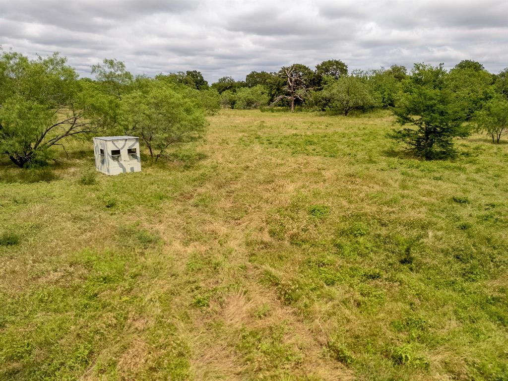 TBD 20 Acres County Road 159 - Photo 36