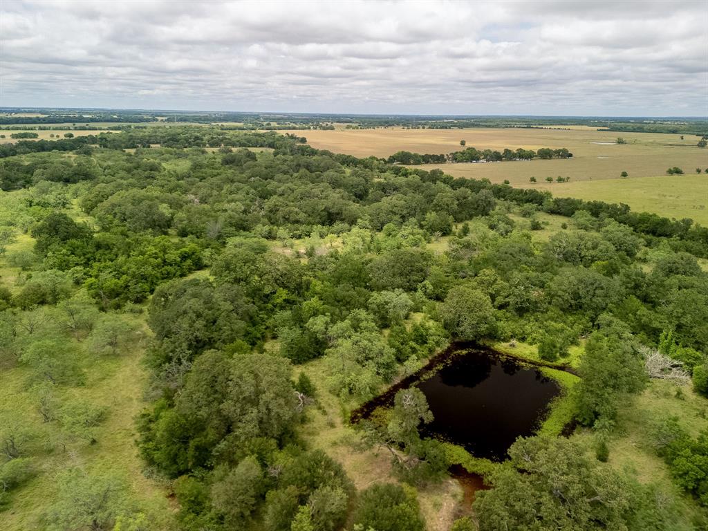 TBD 20 Acres County Road 159 - Photo 37