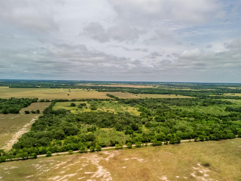 TBD 20 Acres County Road 159 - Photo 4