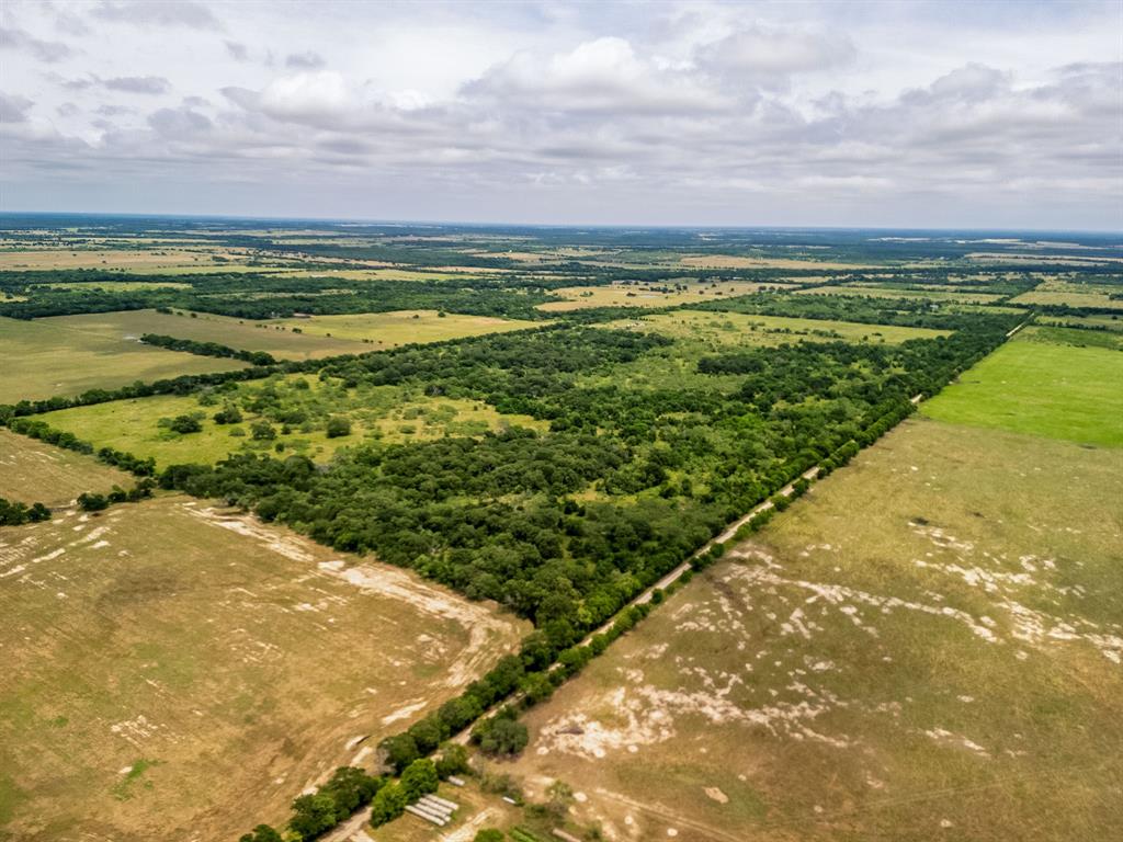 TBD 20 Acres County Road 159 - Photo 5