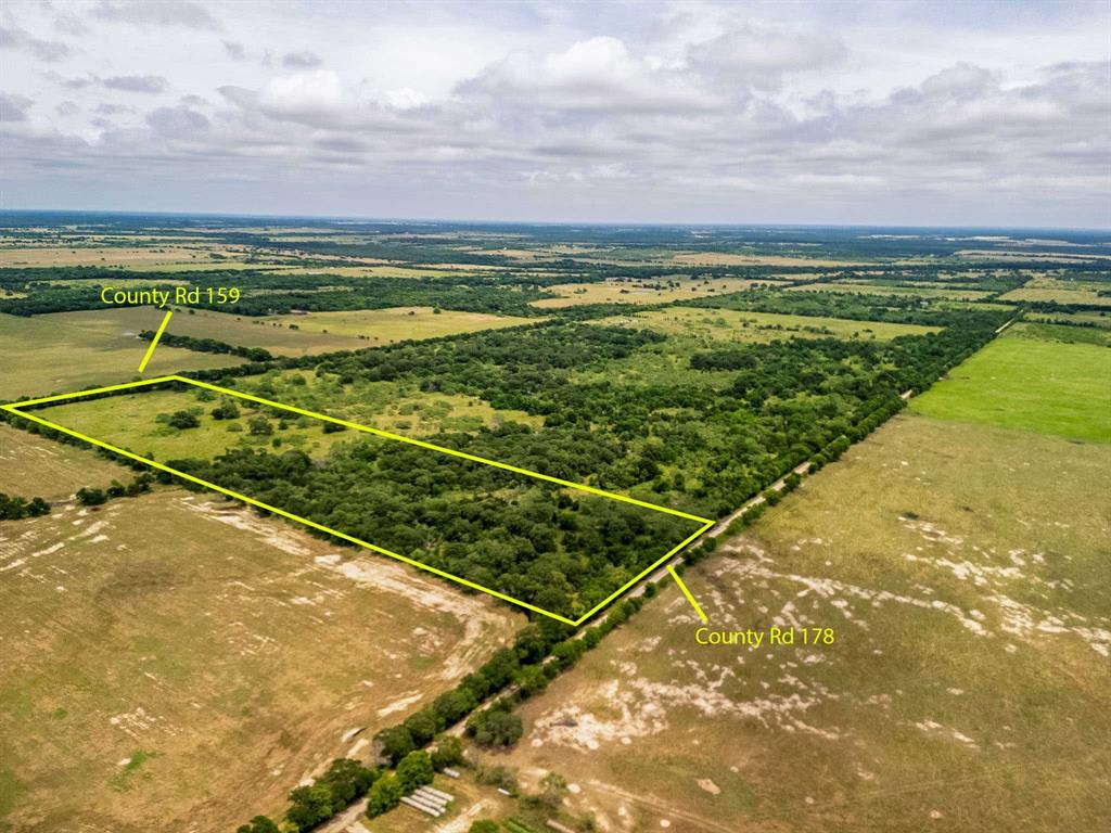 TBD 20 Acres County Road 159 - Photo 6