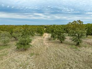 TBD County Road 2690 - Photo 14