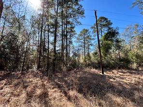 Lot 8 Sir Ewaine Drive - Photo 3