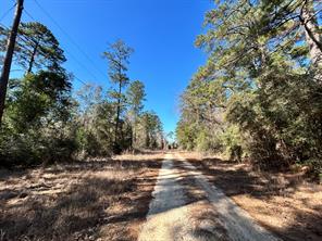 Lot 8 Sir Ewaine Drive - Photo 5