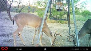 3995 FM 1176 - Photo 3