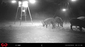 3995 FM 1176 - Photo 34