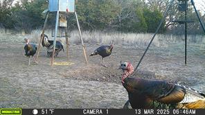 3995 FM 1176 - Photo 35