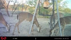 3995 FM 1176 - Photo 39