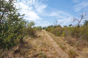 3995 FM 1176 - Photo 6