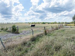00 CR 15240 - Photo 17