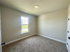 709 Bass Lake Lane - Photo 11