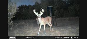 5106 Fm 51 - Photo 3