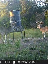 5106 Fm 51 - Photo 4