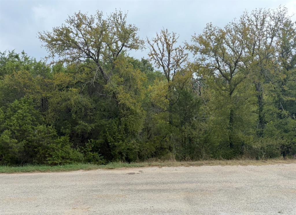 2509 White Oak Trail - Photo 1