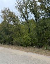 2509 White Oak Trail - Photo 2