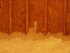 506 Pecan Tree Court - Photo 30