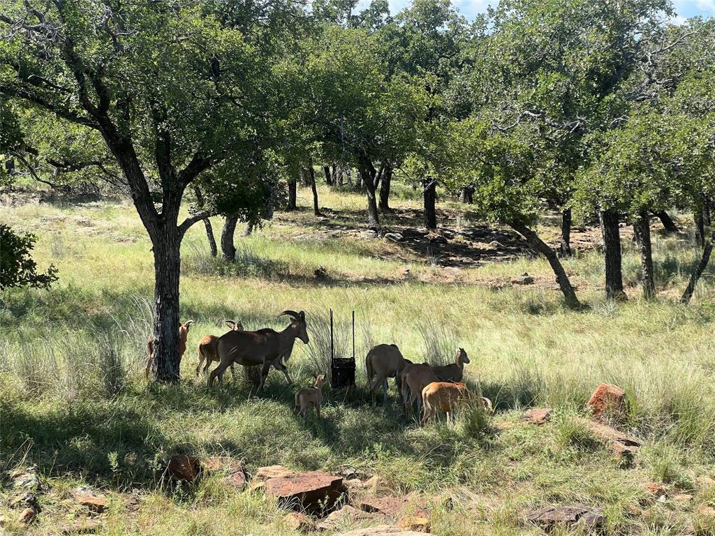 2266 Stagecoach Trail - Photo 8