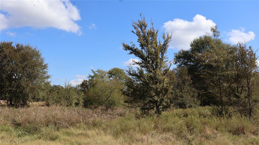 0 Private Road 8608 - Photo 10