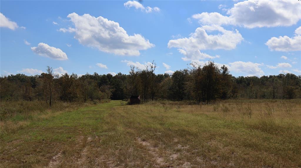 0 Private Road 8608 - Photo 8
