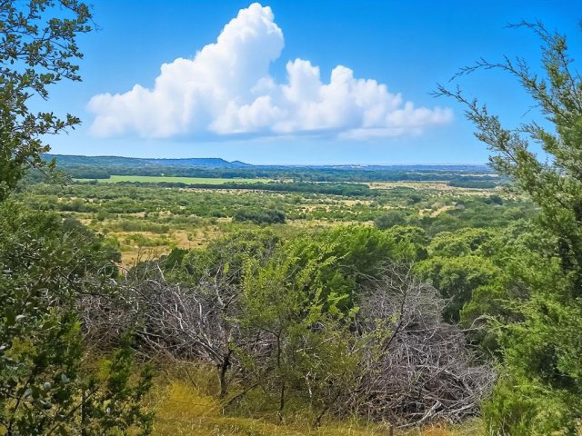 TDB 482 Acres W Fm 217