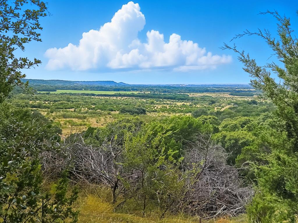 TDB 482 Acres W Fm 217 - Photo 1
