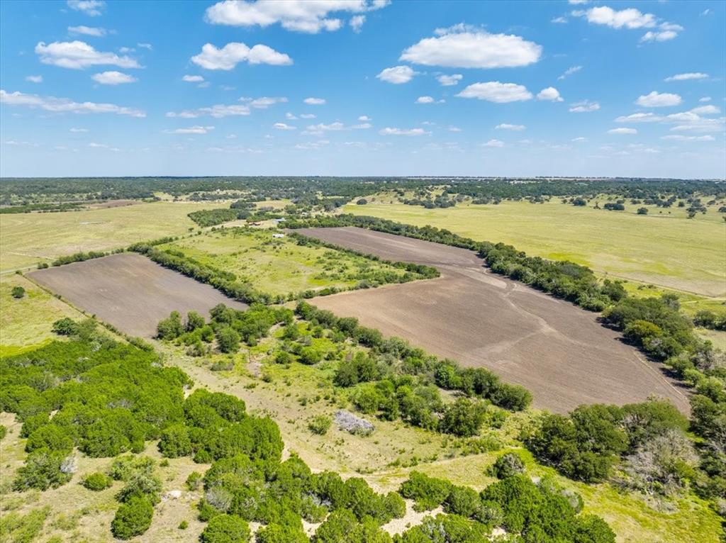 TDB 482 Acres W Fm 217 - Photo 10