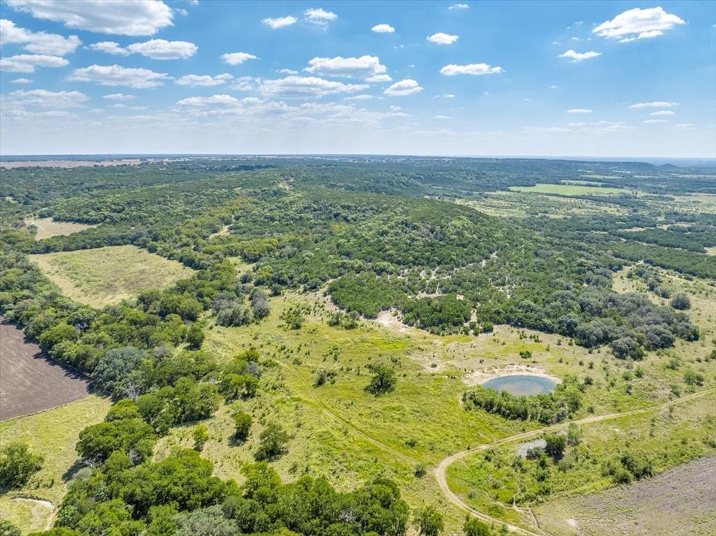 TDB 482 Acres W Fm 217 - Photo 13