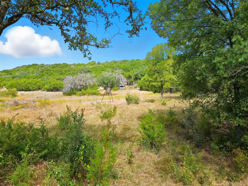 TDB 482 Acres W Fm 217 - Photo 15