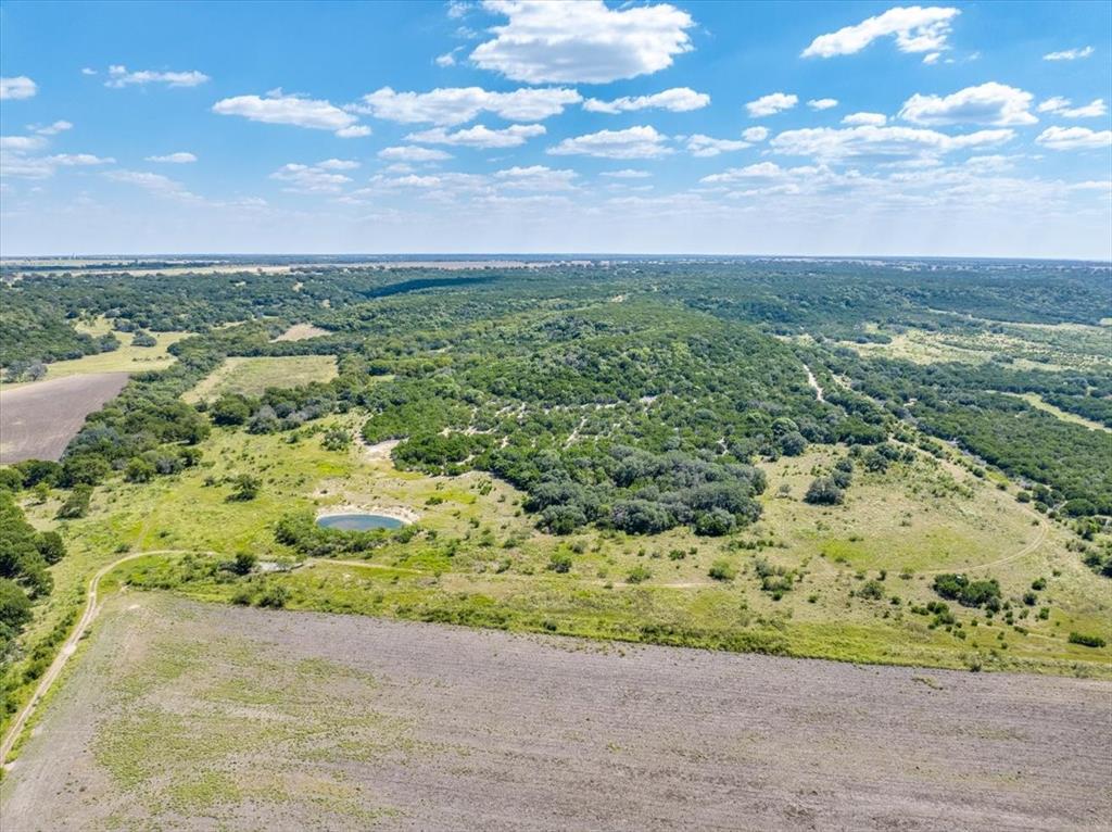TDB 482 Acres W Fm 217 - Photo 20