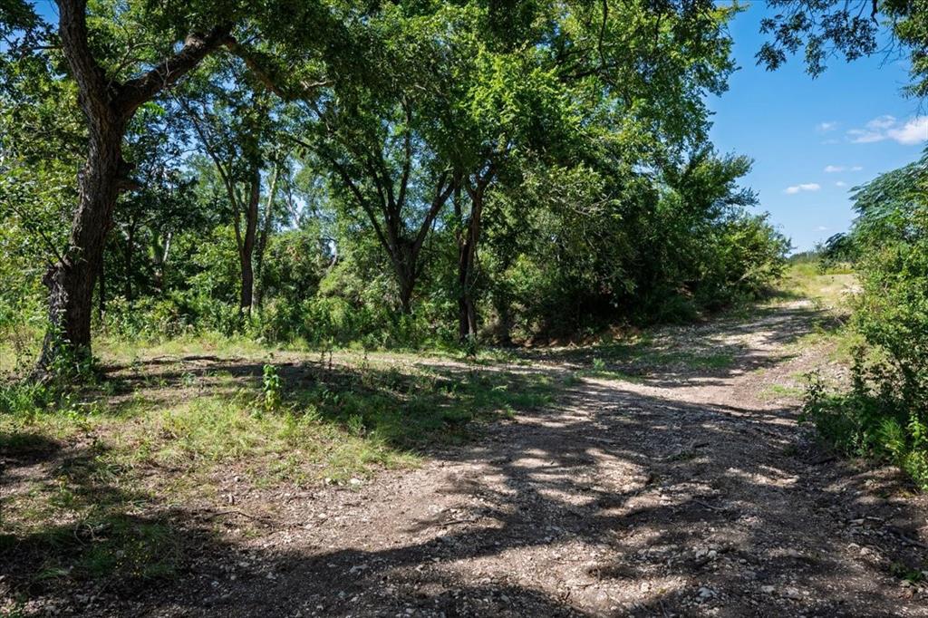 TDB 482 Acres W Fm 217 - Photo 21