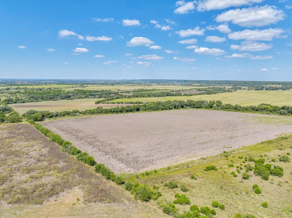 TDB 482 Acres W Fm 217 - Photo 25