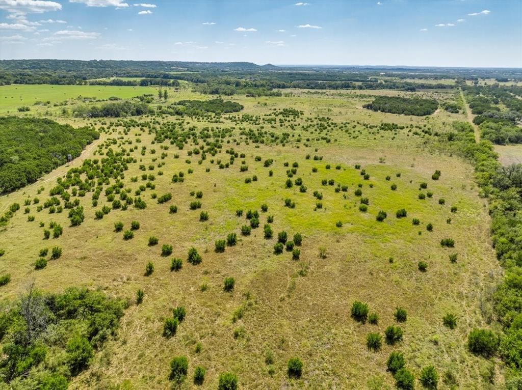 TDB 482 Acres W Fm 217 - Photo 26