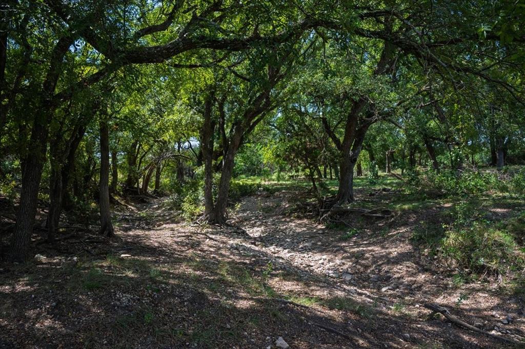 TDB 482 Acres W Fm 217 - Photo 27